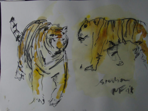 «Etude de tigre», 59x48 cm, 2018